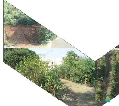 Workshop on Regenerating Natural Capital Land, Water and Forest